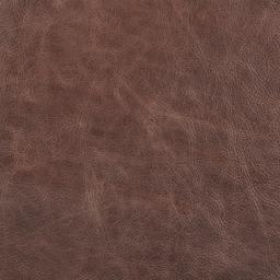 Stone & Beam Dark Brown Swatch, Stone & Beam