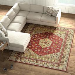 Amazon Brand – Stone & Beam Contemporary Medallion Area Rug, 7' 10" x 10', Brick