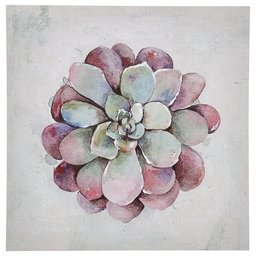 Amazon Brand – Stone & Beam Modern Green and Pink Echeveria Succulent Flower Print Wall Art Decor on Canvas - 30" x 30"