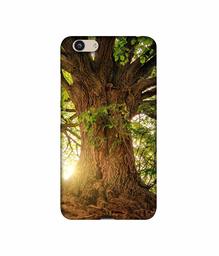 Amazon Brand - Solimo Designer Tree Trunk 3D Printed Hard Back Case Mobile Cover for Vivo Y53