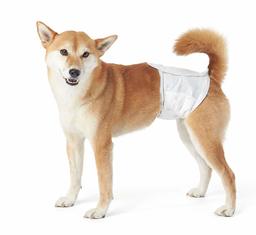 AmazonBasics Male Dog Wrap Diapers - Pack of 30, Large