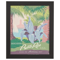 Amazon Brand – Rivet Vintage U.S. Parks Puerto Rico Print, Black Barnwood Frame, 19" x 23"