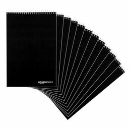 AmazonBasics Steno Books, 6" x 9", Gregg Rule, Green Paper, 80 Sheets, 12-Pack