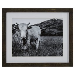Amazon Brand – Stone & Beam Modern Black and White Photo of Bull Wall Art in Charcoal Frame, 22" x 18"