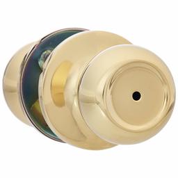 AmazonBasics Privacy Door Knob with Lock, Coastal, Polished Brass