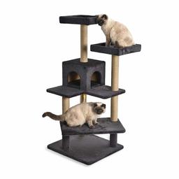 AmazonBasics Platform Cat Tree Furniture - Medium, Dark grey (Renewed)