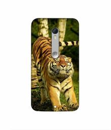 Amazon Brand - Solimo Designer Tiger 3D Printed Hard Back Case Mobile Cover for Motorola Moto X Play