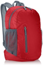 AmazonBasics Lightweight Packable Hiking Travel Day Pack Backpack - 17.5 x 17.5 x 11.5 Inches, 25 Liter, Red