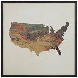Amazon Brand – Stone & Beam Abstract Topographic Print in Black Wood Frame, 12" x 12"