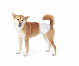 AmazonBasics Male Dog Wrap, Medium, 30-Pack