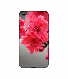 Amazon Brand - Solimo Designer Blossom Like Flower 3D Printed Hard Back Case Mobile Cover for Vivo Y66