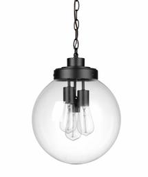 Amazon Brand – Stone & Beam Contemporary Outdoor Pendant Light with Clear Glass Shade, Vintage Edison Bulb Included, 15"H, Matte Black