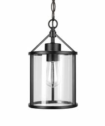 Amazon Brand - Ravenna Home Single-Light Outdoor Pendant Light with Clear Glass Shade, Vintage Edison Bulb Included, 14.1"H, Black Finish