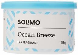 Amazon Brand - Solimo Car Air Freshener - Ocean Breeze, 40 g