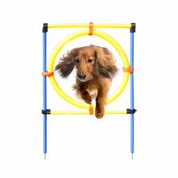 Eono by Amazon Agility Exercise Training Equipment Starter Kit Jump Hoop Hurdle Bar for Pet Dogs Outdoor Games